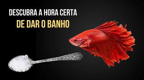 banho de sal peixe betta